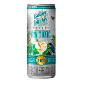 COCTEL GIN TONIC*295ml _1